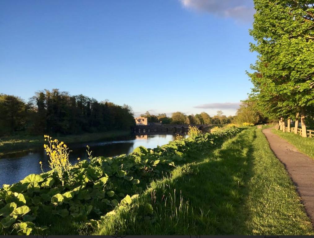 Adare Luxury Riverside Apartment Limerick Junction Dış mekan fotoğraf